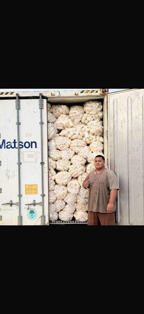 Premium Frozen Cassava Root - Image 2